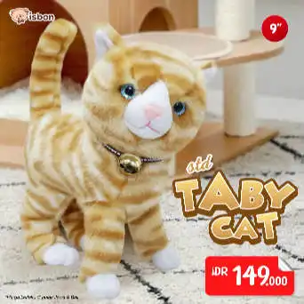 ISTANA BONEKA Kucing STD Taby Cat
