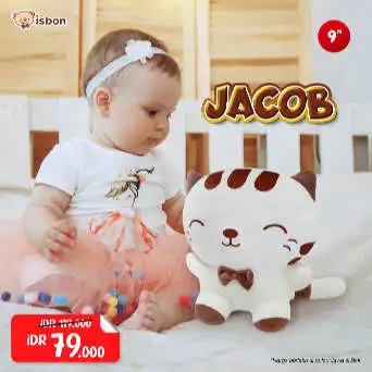 ISTANA BONEKA Kucing Jacob